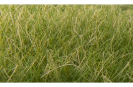 12mm Static Grass Medium Green